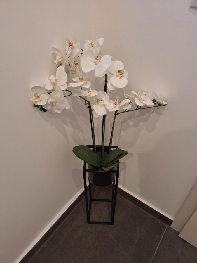 Appartamento Ferienhaus Aycu Brema Esterno foto